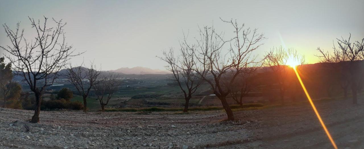 Casa La Foradada Bed & Breakfast Corbera Dış mekan fotoğraf